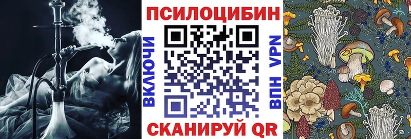 купить закладку  Нефтекамск  сайты даркнета клад  Псилоцибиновые грибы MAGIC MUSHROOMS 